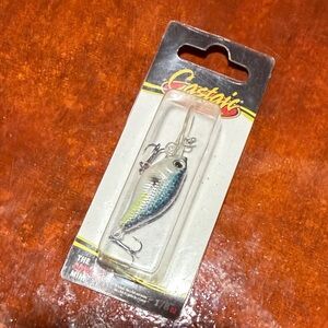 Silver and Blue Fishing Lure